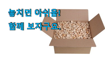 흥미로운 편백나무 클릭 추천합니다!