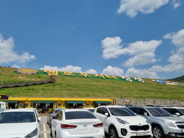  5월 전남 가볼만한곳 [ 장성 출렁다리 ]