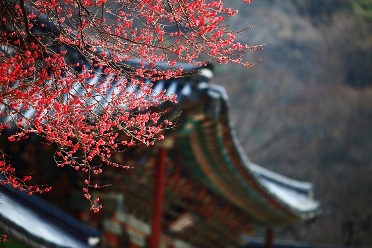  글쓰기에서 가장 중요한 것. 강원국의 글쓰기 서평