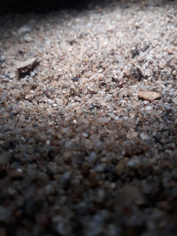 [분재공부] 분재에 사용 되는 흙의 종류