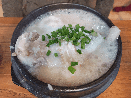  우리 가족 최애 한방삼계탕 맛집