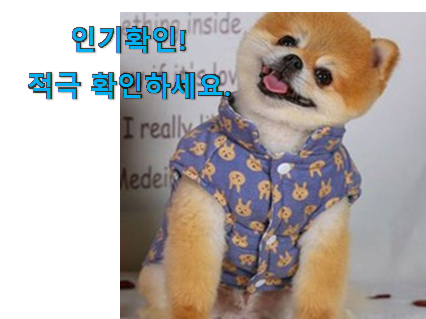  맘에드는 강아지 패딩 굿템 강추합니당