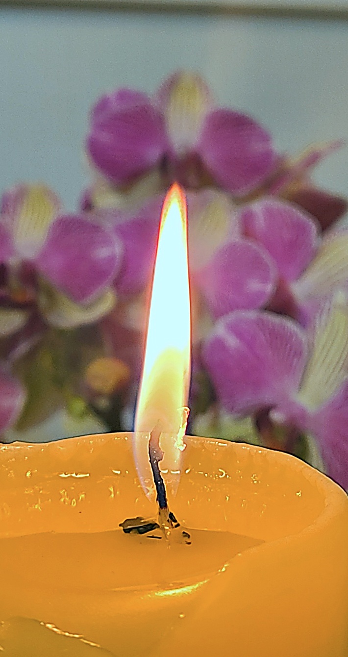  제주점집 귤림당 답답해서 다녀왔어요!