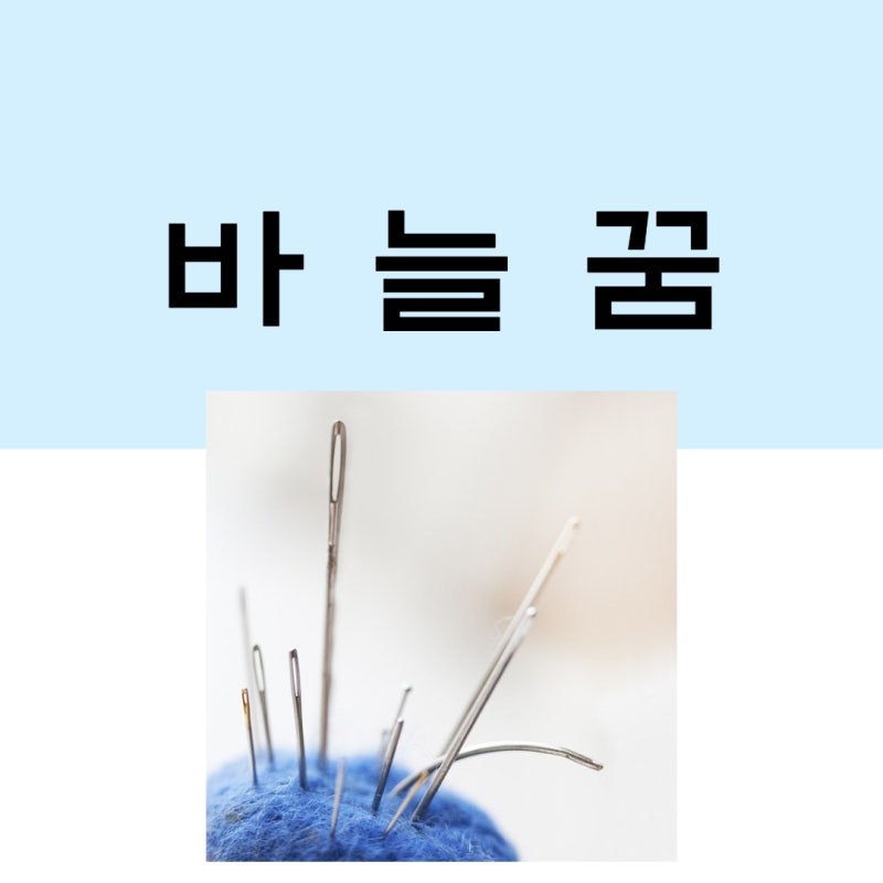 바늘꿈, 바늘에 찔리는 꿈, 잃어버리는 꿈, 옷을 만드는 꿈