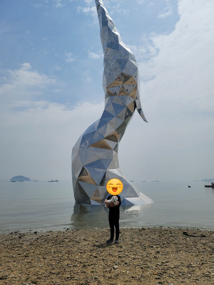  [강아지와여행] 당진 왜목마을해수욕장