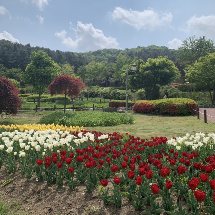  [용인 농촌테마파크] 알록달록 꽃도 많고 산책하기 좋은 곳 :D