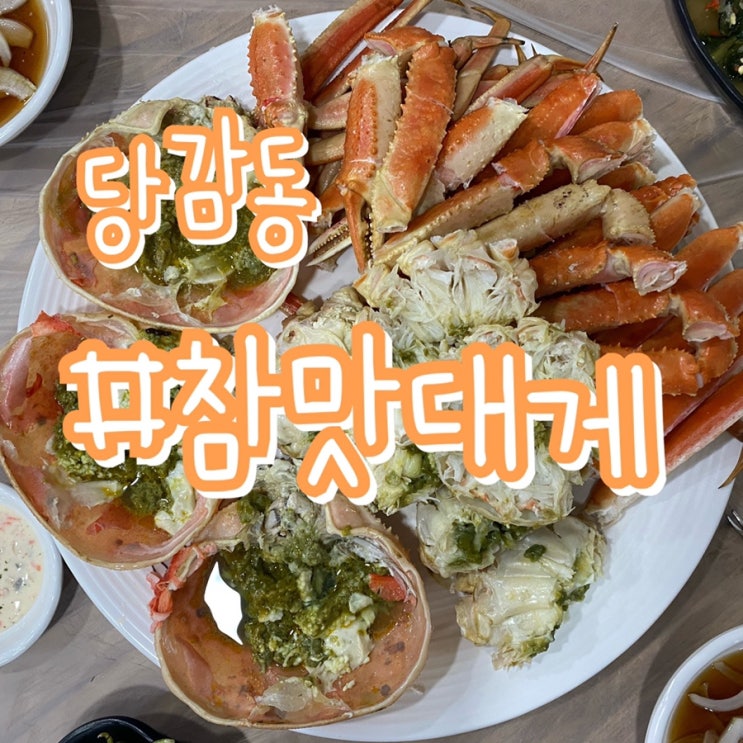  부산 대게 맛집/ 당감동 참맛대게/ 싯가저렴 가성비최고!!