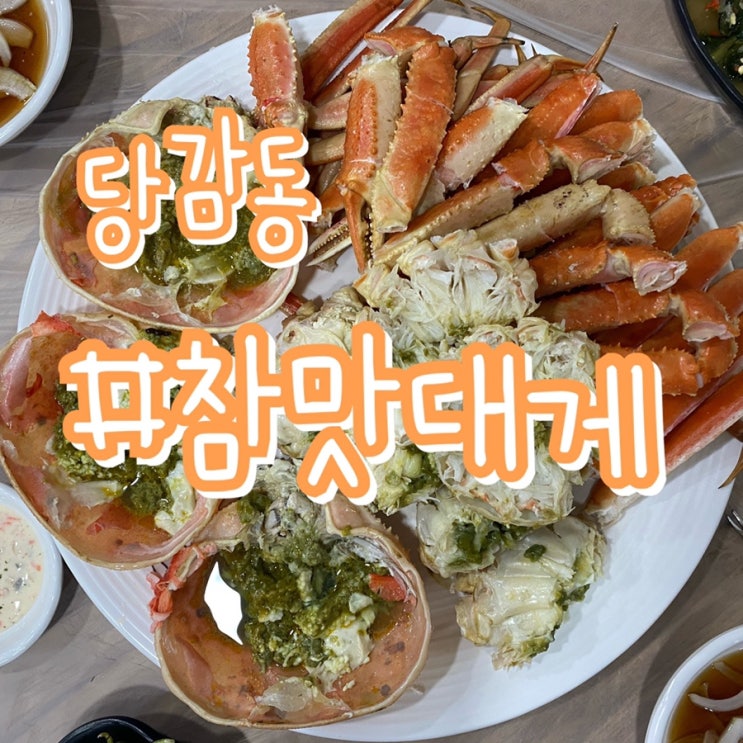 부산 대게 맛집/ 당감동 참맛대게/ 싯가저렴 가성비최고!!