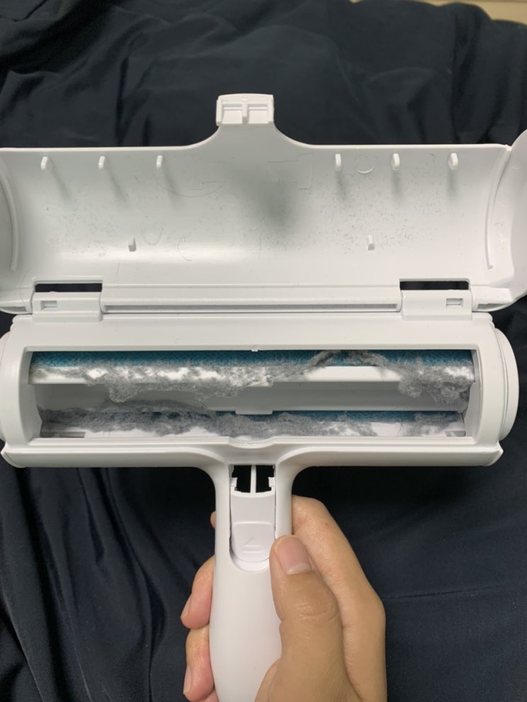  환경을 생각한다면~ 반영구돌돌이 고양이털 제거 에코후레쉬 밀당 고수 돌돌이
