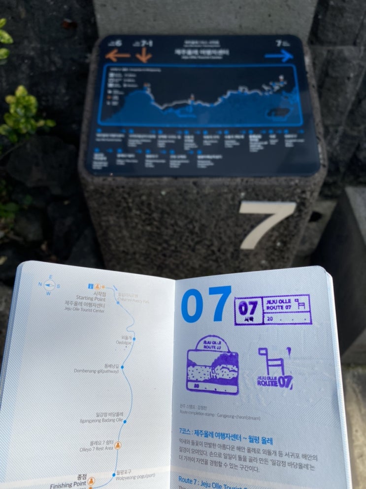  여자혼자 제주올레길 7코스, 제주올레 여행자센터~월평 올레