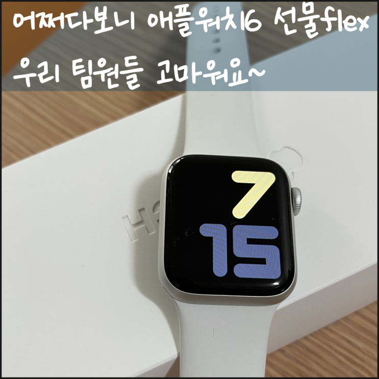  어쩌다보니 애플워치6 선물flex