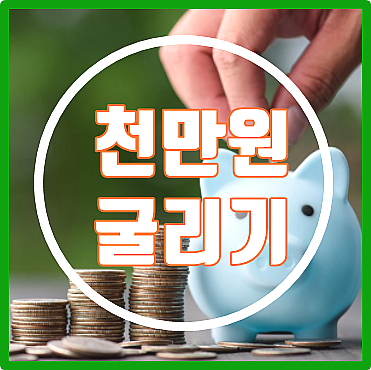  천만원 굴리기에 좋은 정기예금 이율높은곳 (저축은행/새마을금고/국민은행)