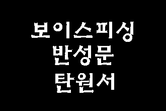  보이스피싱 전달책 반성문 탄원서