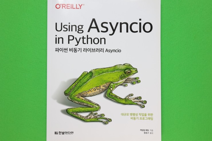 '파이썬 비동기 라이브러리 Asyncio', 라이브러리 분석과 테스트로 최적의 코딩과 활용을 돕는 책