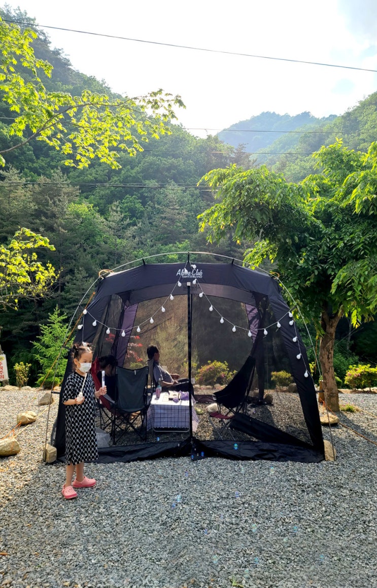  영월 무릉도원면 더좋은펜션캠핑장