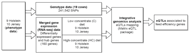 RNA-seq데이터로 eQTL 분석 방법 : 네이버 블로그