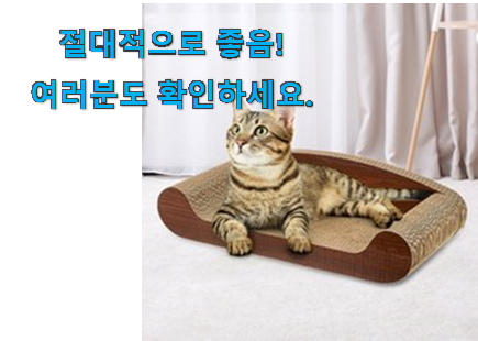 신뢰가는 고양이 스크래쳐 구매 선물하기에도 좋은듯 해요 신뢰가는 고양이 스크래쳐 구매 선물하기에도 좋은듯 해요