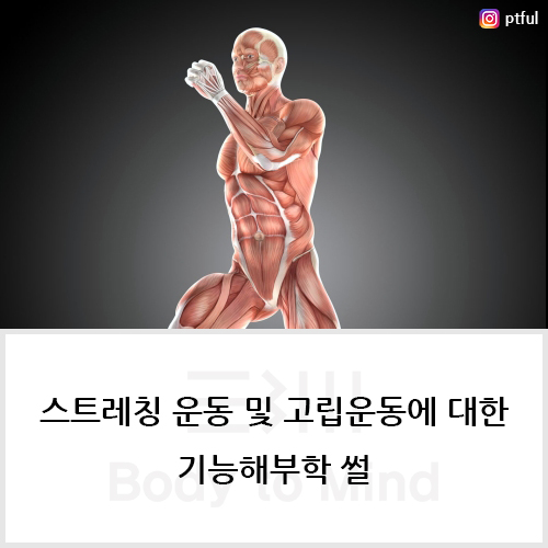  스트레칭 운동 및 고립운동에 대한 기능해부학 썰