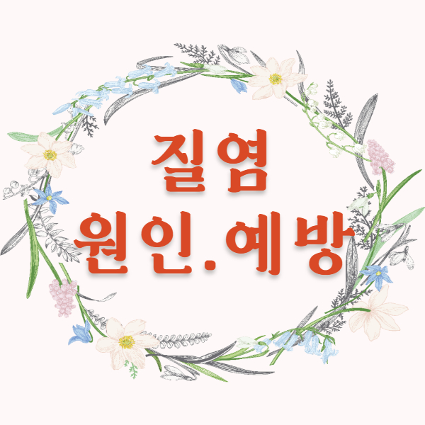  여름철주의 질환 질염 증상 원인 칸디다질염 치료 유산균 세균성 항생제 예방 속옷