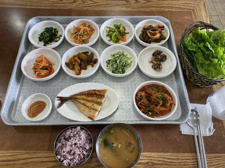 제주도민이 추천 올레길12코스 맛집 혼밥 신도리 어촌계식당