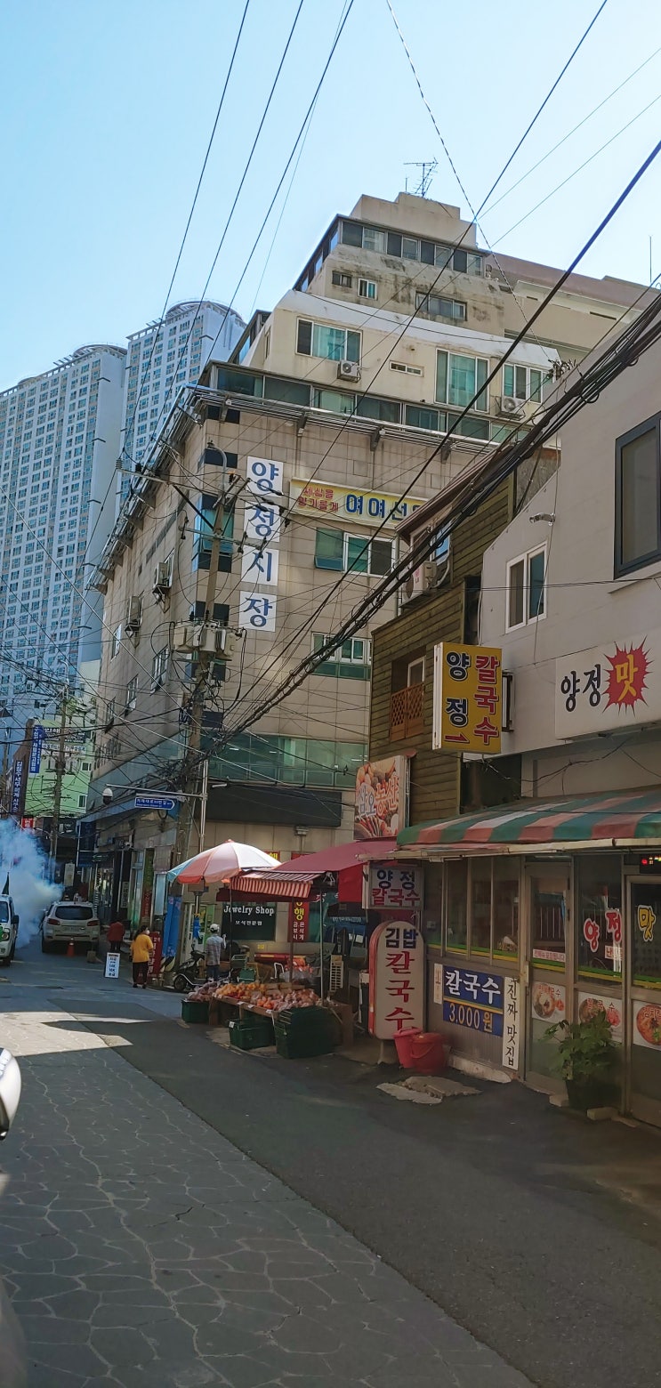  부산 양정 꽃시장,대림화원 출동!!