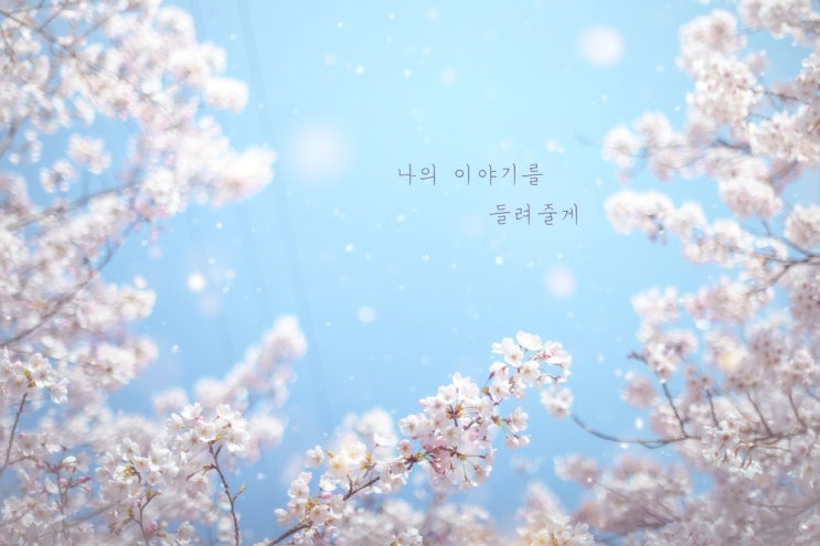  다시금...,