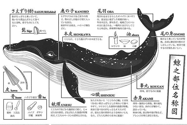 고래고기 부위별 일본 이름 네이버 블로그