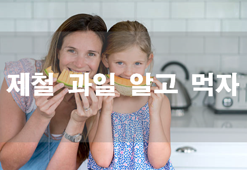  요즘 먹기 딱 좋은 과일종류