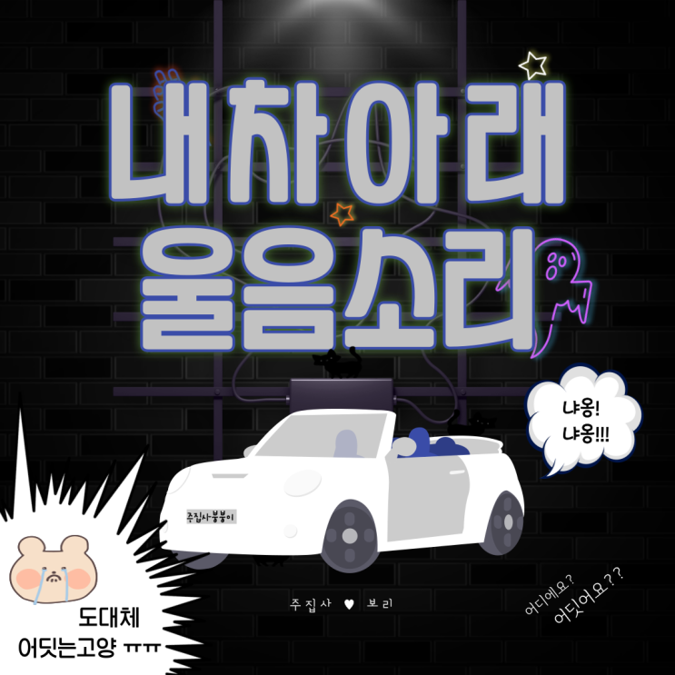  차 타기 전에 새끼 고양이 우는소리가 들린다면?