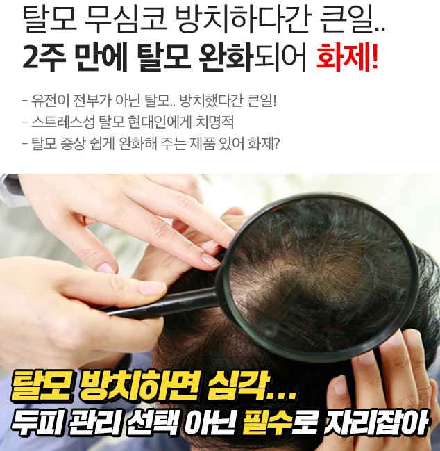  모모단가격, 모모단프리미엄플러스
