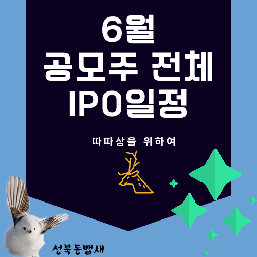  6월 공모주[IPO] 전체 리스트(ft,공모주명,일정,공모가,상장일,주관사 기준)