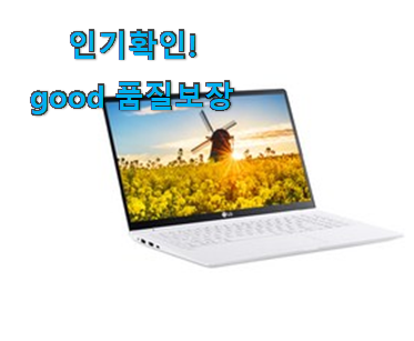  품절대란 lg 그램 꿀템추천 남편이 좋아하네요