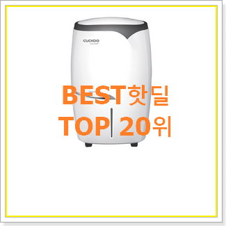  가성비좋은 공기청정제습기 BEST 핫딜 랭킹 20위