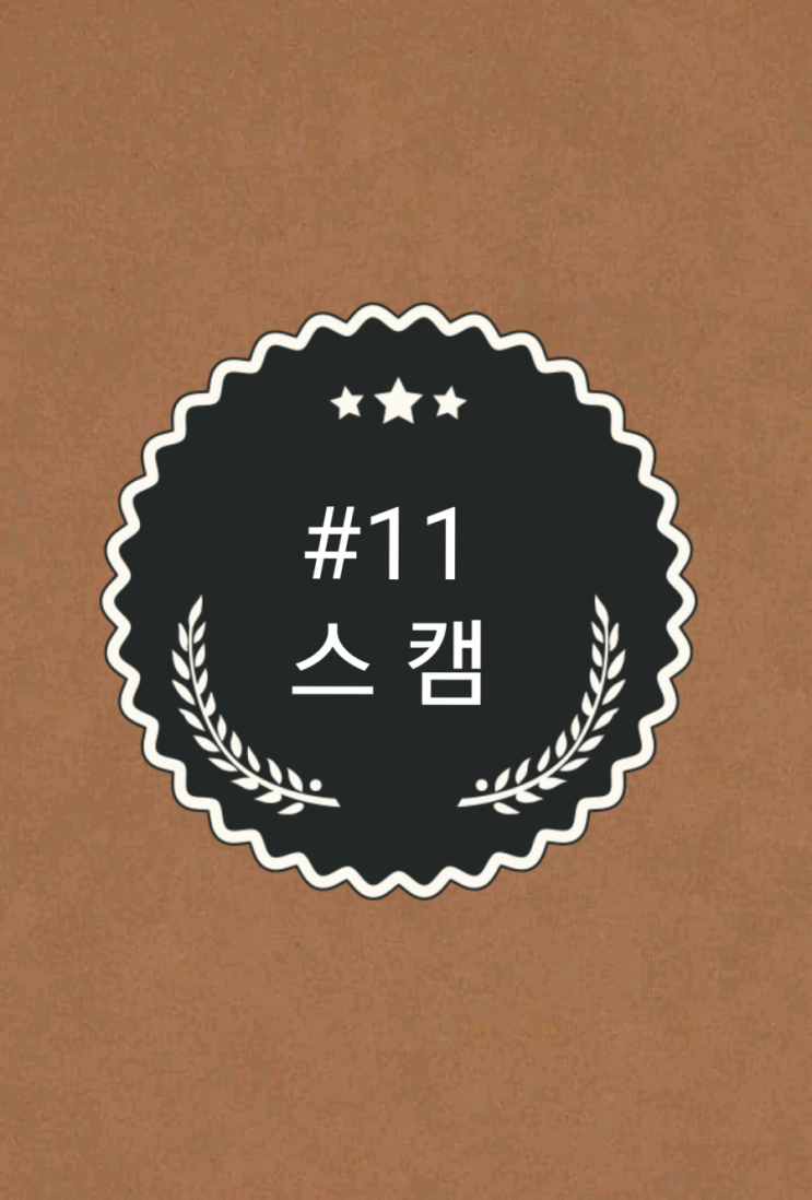  #11 [스 캠] 코인놀이터와 함께하는 코인상식