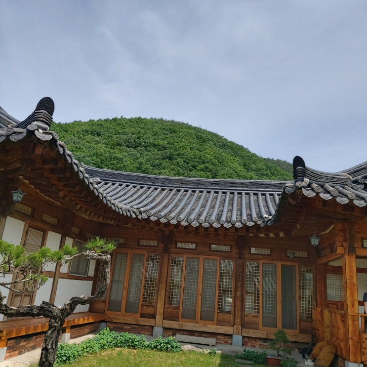  다원 언니 별장에서 작품 마무리