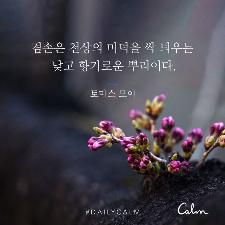  [명상 기록] Daily Calm 겸손