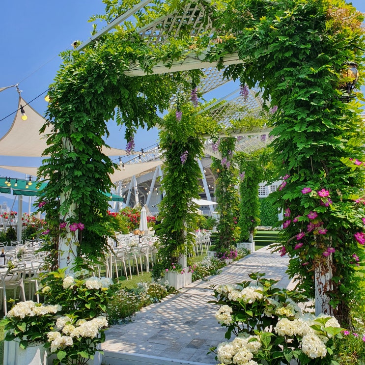 21.05.22 일상 : 스타디움 컨벤션 웨딩 결혼식 후기, 앞산사진관, 아눅앞산