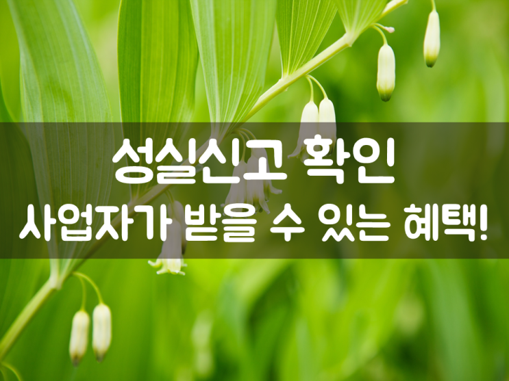  성실신고 확인 사업자가 받을 수 있는 혜택!