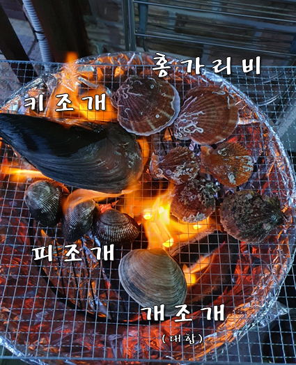 백합 vs 백생합 vs 대합 (feat. 조개 잘 굽는법) : 네이버 블로그