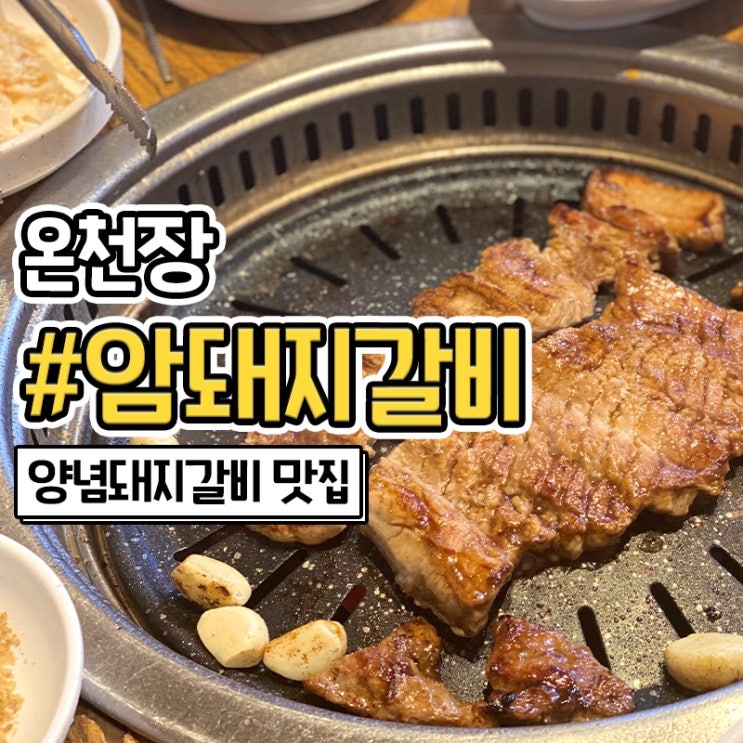  온천장 양념 돼지갈비 맛집 암돼지갈비
