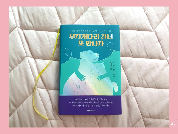  무지개다리 건너 또 만나자 - 이시구로 유키코