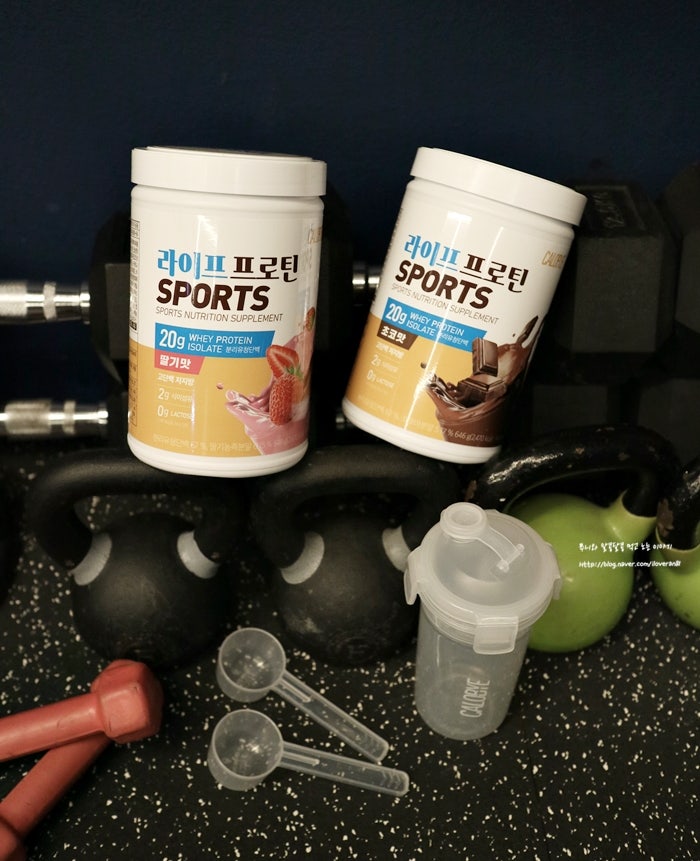 카로바이 운동 후 편하게 마시는 맛있는 단백질 쉐이크 추천 (초코맛) 5