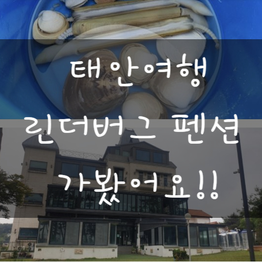  태안 풀빌라 펜션 린드버그 아이와 함께 가볼만한 곳 가족여행 코스
