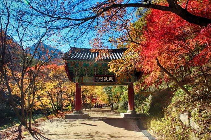 전북 순창 가볼만한곳 강천산 주말 나들이 장소로 추천 전북 순창 가볼만한곳 강천산 주말 나들이 장소로 추천