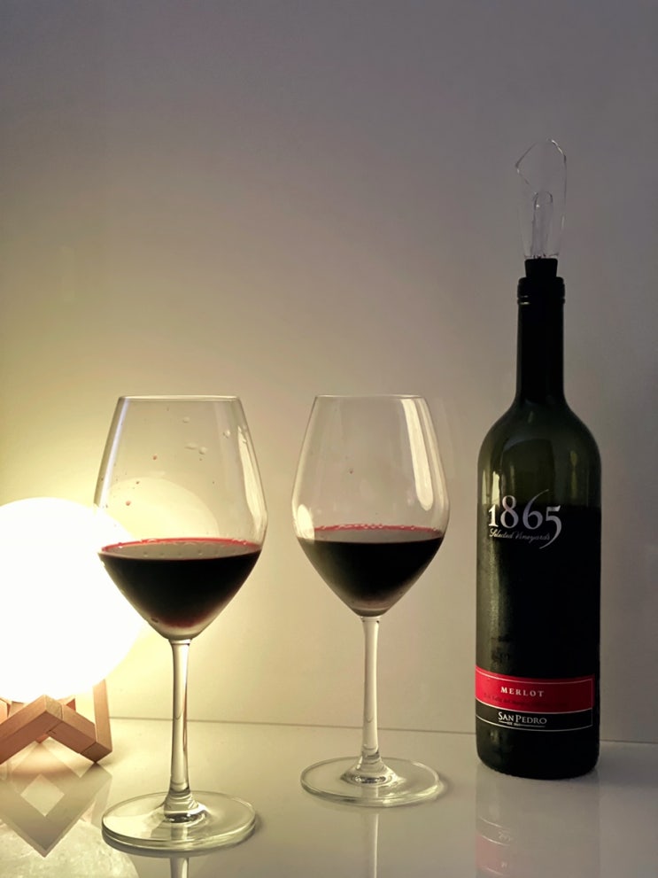  와인 좋아하세요? 와린이의1865 merlot