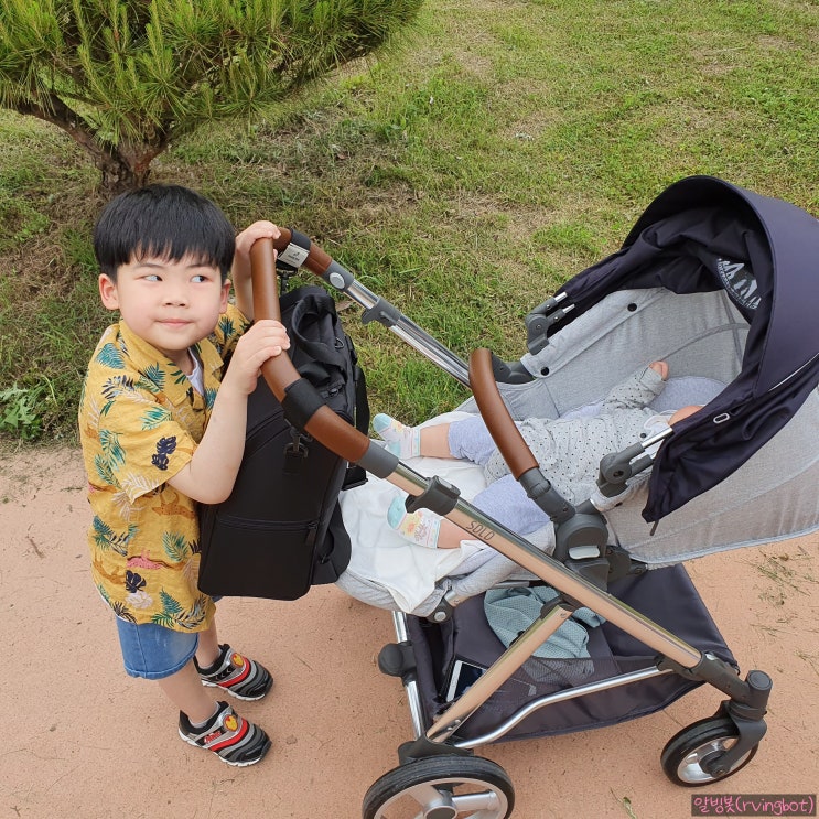  괴산 팝콘 캠핑장의 낮달과 5월 여름에 코스모스 개화