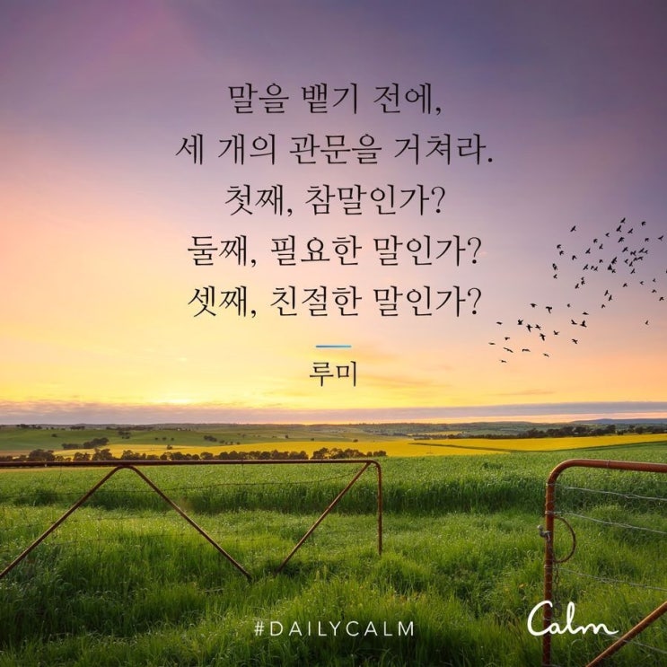  [명상 기록] Daily Calm 친절한 의사소통