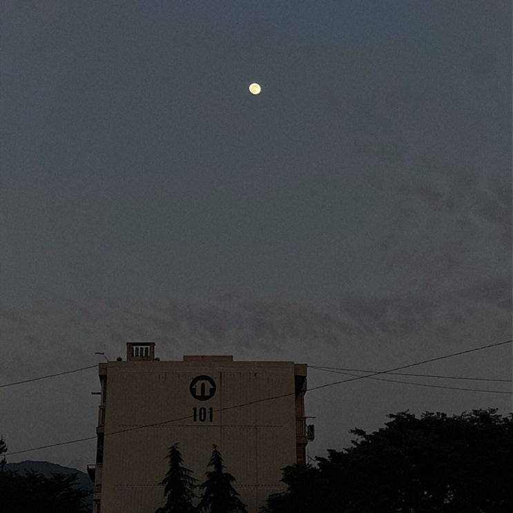  [2021/05/24의 기록] 블챌 day6