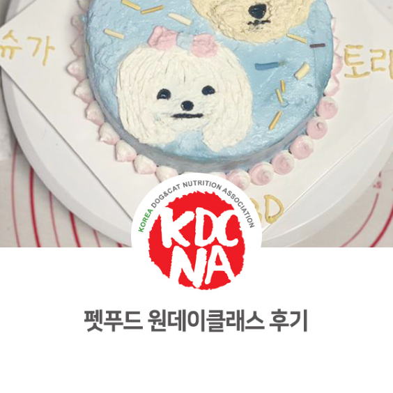  [한국반려동물영양협회/펫푸드자격증/애견수제간식창업교육/원데이클래스/수원/남양주/성남/고양/의정부] 최수연펫푸드아카데미 원데이클래스 교육 후기_794