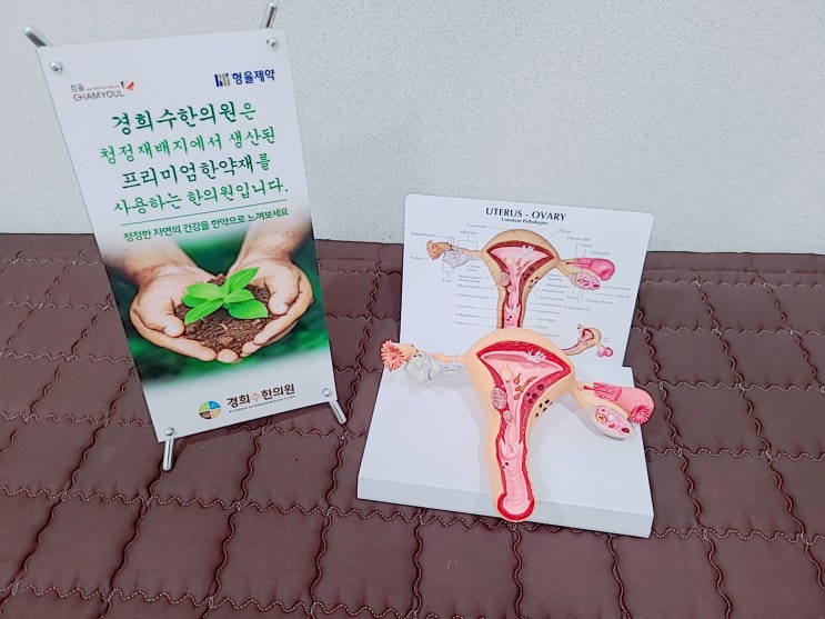 수원 산후보약 한의원에서 산후풍, 통증 치료하세요 수원 산후보약 한의원에서 산후풍, 통증 치료하세요